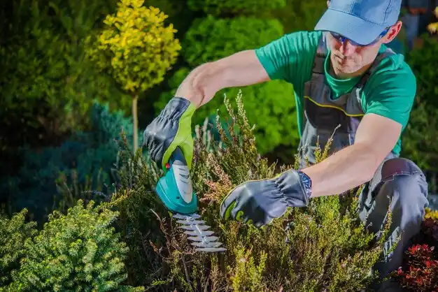 landscaping services Harrisonville